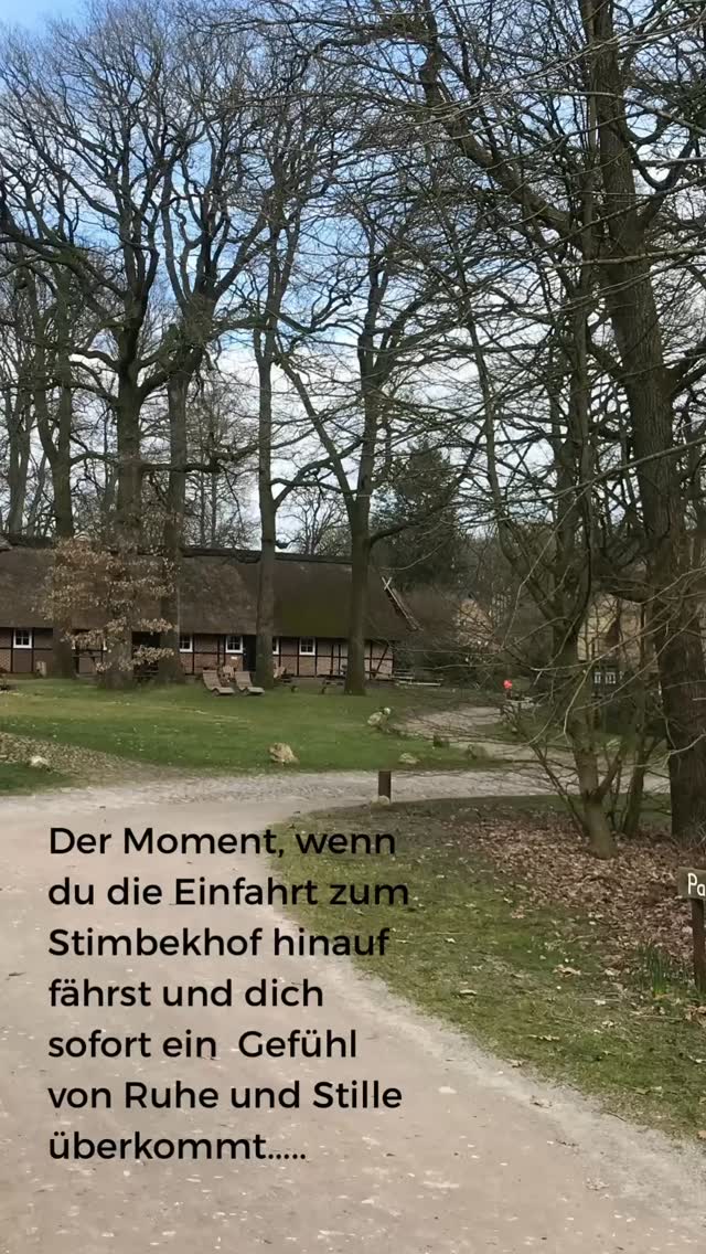 Yoga an meinem ❤️Ort, dem @stimbekhof  in Bispingen. Schon der Moment, in dem man auf den Hof fährt ist magisch und wie ein Eintauchen in die Ruhe und Entschleunigung. Genau das, was viele von uns so sehr brauchen. Und vielleicht kennst du auch dieses Gefühl, gerade zum Jahresende, einfach mal durchzuatmen und nur für dich da sein zu wollen ? Dich für einen Moment aus dem Alltag „herauszuzoomen “ und in den Kontakt mit dir selbst zurück zu finden? Keine to-do-Listen, stattdessen Selbstfürsorge? Dann begleite mich gerne vom 1.-3.Dezember an diesen wunderschönen Ort. 💛Yoga, Pranayama und Meditation für mehr innere Ruhe, Kraft und Klarheit 💛 Du brauchst dich um nichts kümmern, für dich ist gesorgt. 💛Austausch und Gemeinschaft 💛eine wunderschöne Umgebung und Ruhe in der Natur. 
#anusarayoga #auszeit #selbstfürsorge #meditation #ruhe#rückzug #sein#selbstfürsorge