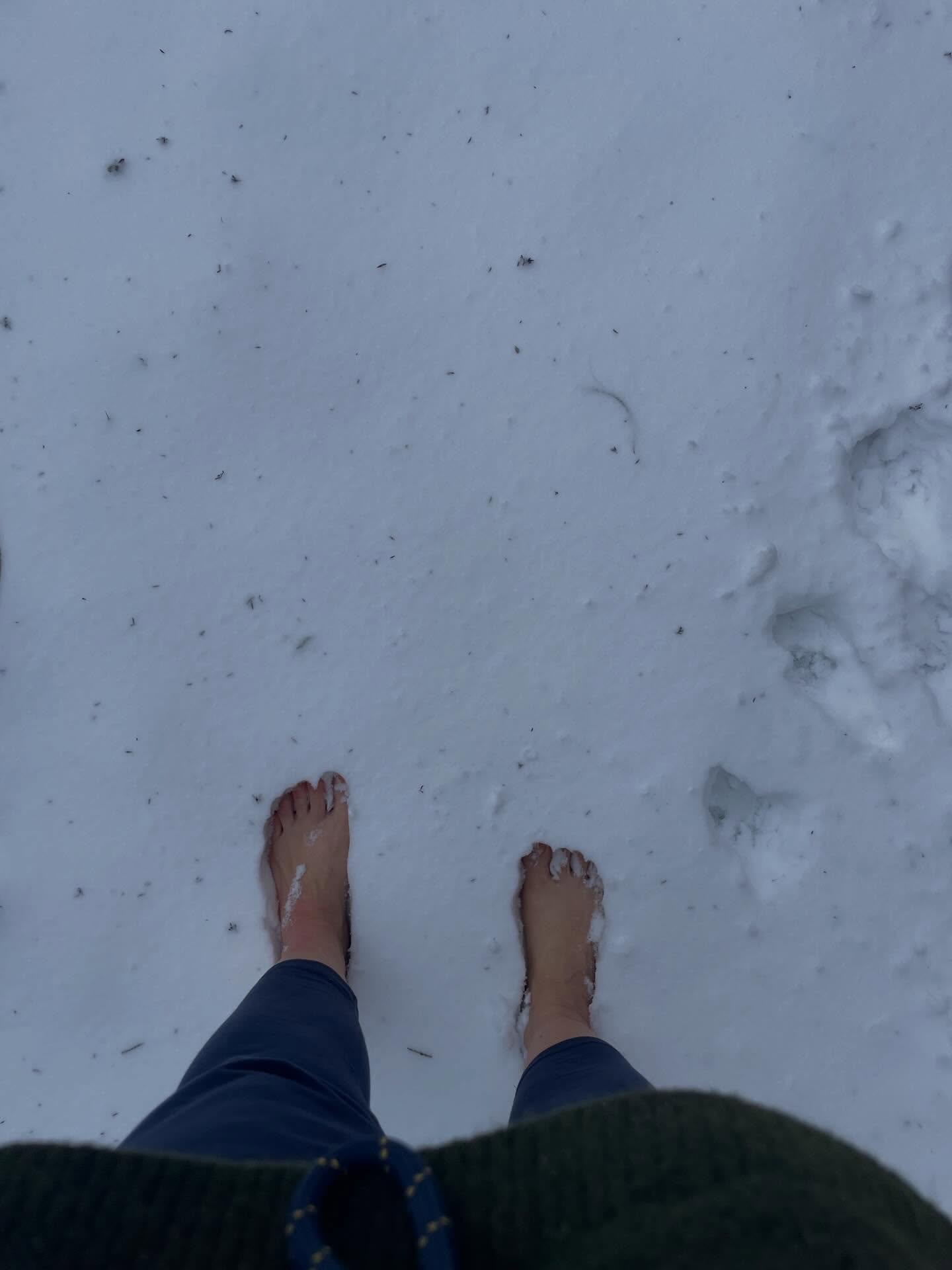 Nicht vergessen.. es ist noch immer Winter. Gerade ruht die Natur hier unter einer -für norddeutsche Verhältnisse- dichten Schneedecke. Ich mag das sehr, weil es nochmal so deutlich macht, dass die Zeit zum „Durchstarten „ noch nicht gekommen ist. Auch, wenn ein neues Jahr uns immer wie ein Startschuss vorkommen mag und wir das Gefühl haben, wir müssten sofort wieder ins Tun kommen.
Die Natur befindet sich noch im Energiesparmodus . Samen liegen noch tief in der Erde, behütet und ruhend.
Vielleicht magst du dich wieder erinnern: Du bist Teil der Natur, ein Mikrokosmos im Makrokosmos. Erlaube dir, dich diesem natürlichen Rhythmus anzupassen:
Du darfst ausruhen 
Du darfst müde sein
Du darfst Energie sparen 
Du brauchst Stille und Rückzug.
💛